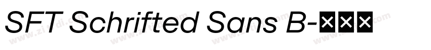 SFT Schrifted Sans B字体转换